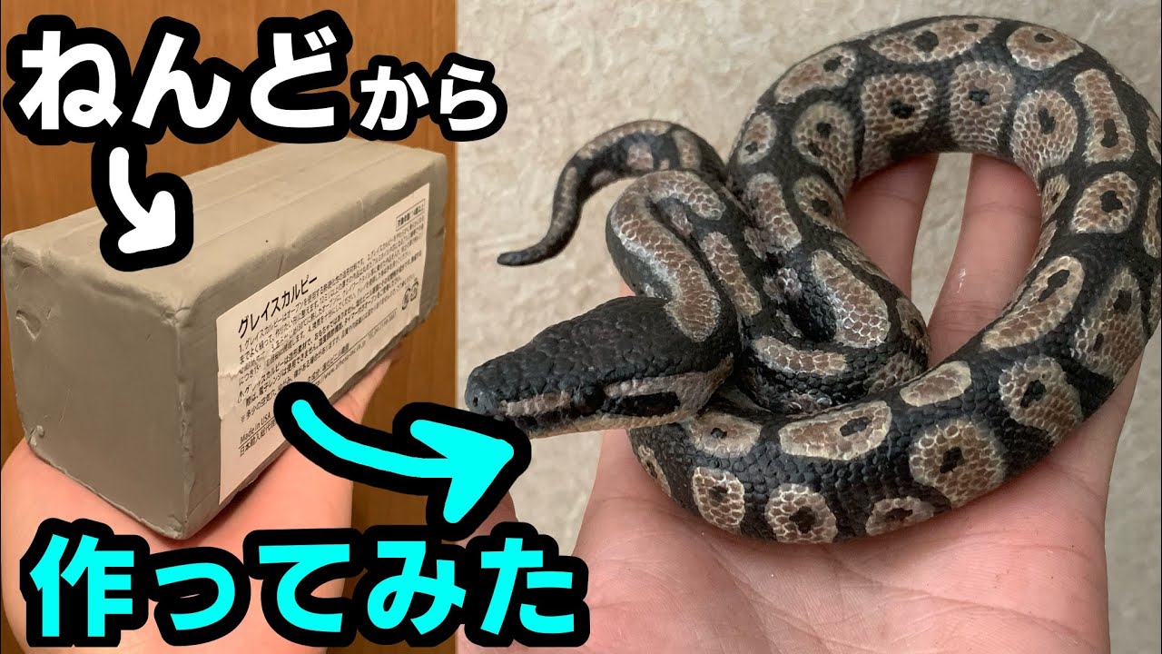 I made a clay snake figure (ball python) - YouTube