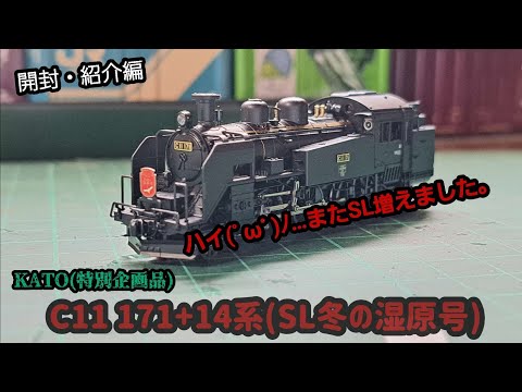 C11 冬の湿原号6両セット C11 冬の湿原号6両セット