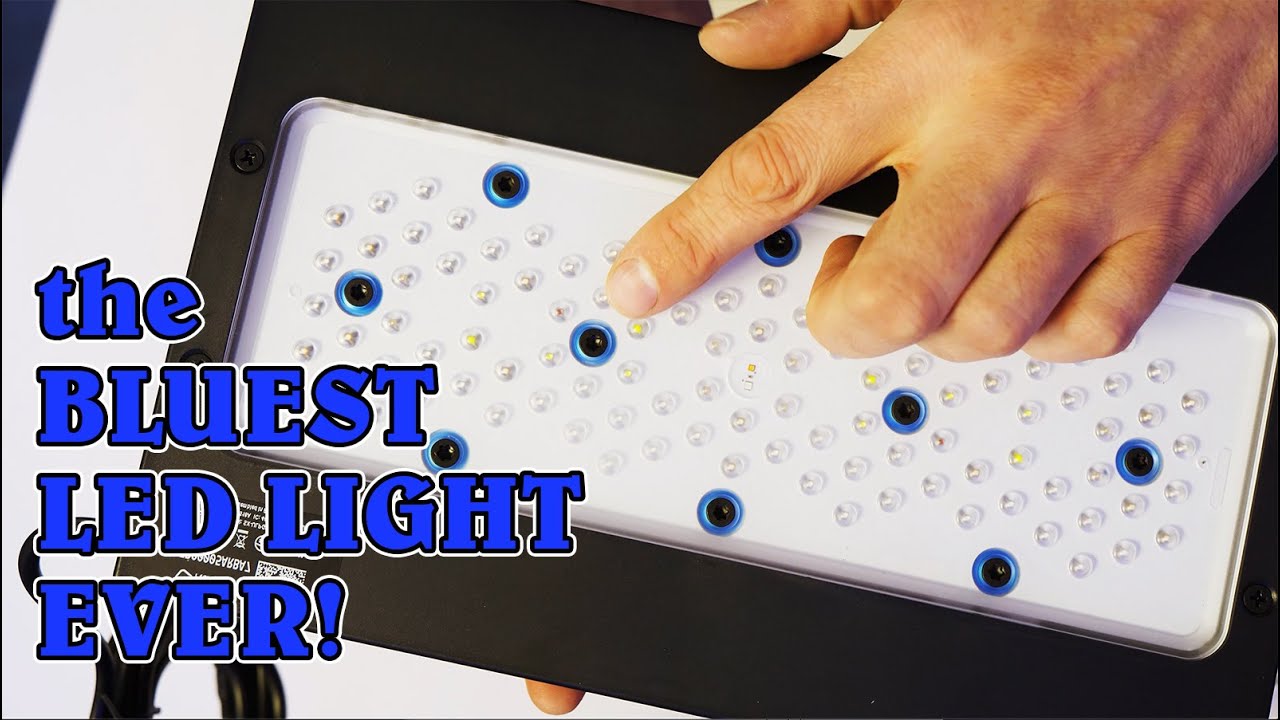 Radion Gen5 Blue Unboxing, Hands-on & Comparison G5 XR15 XR30 PRO