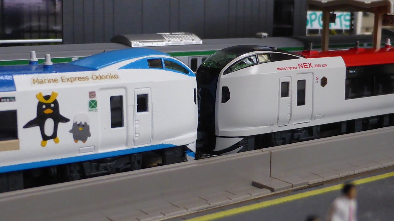 Nゲージ E259系 マリンエクスプレス踊り子 オリジナル塗装+実車仕様