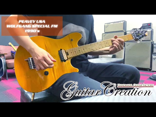 EVHタイプ工房製