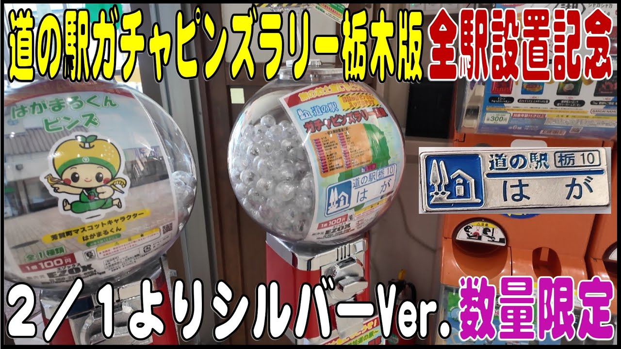 道の駅 栃木県版 ピンズ コンプリート品 道の駅 栃木県版 ピンズ
