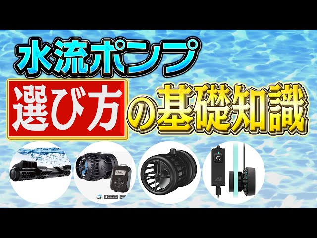 How to Choose a Water Pump & Basic Knowledge of Pumps [August 2024