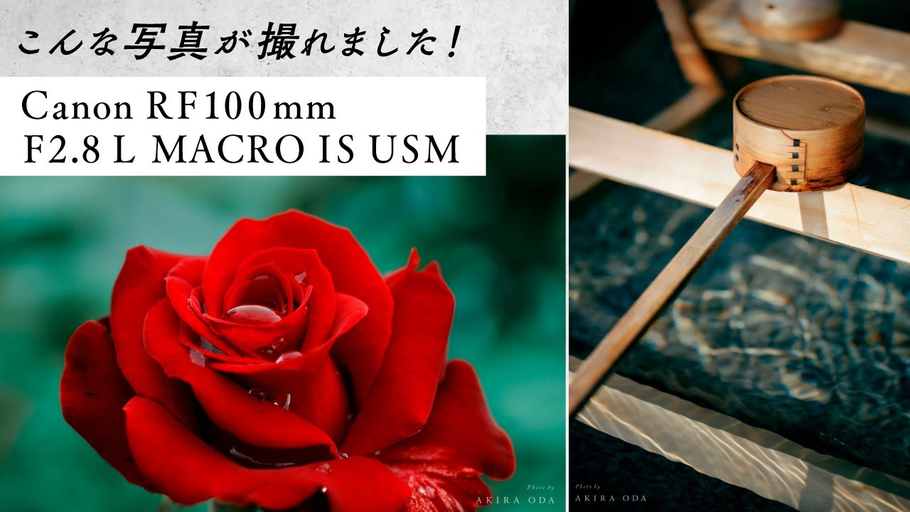 作例紹介】Canon RF100MM F2.8 L MACRO IS USM コメント付き - YouTube