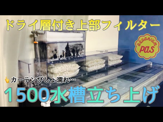 ドライ層付き上部フィルターで1500水槽を立ち上げる！ - YouTube
