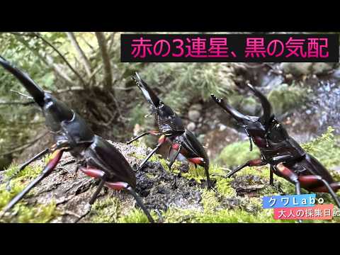 ジャン＝エミール・ラボルール 昆虫学者 (L' Entomologiste) ジャン