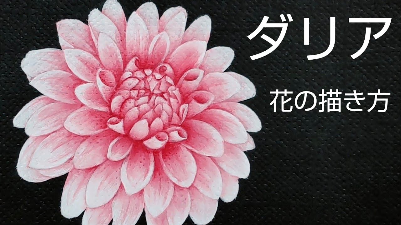 アクリル画白いダリア