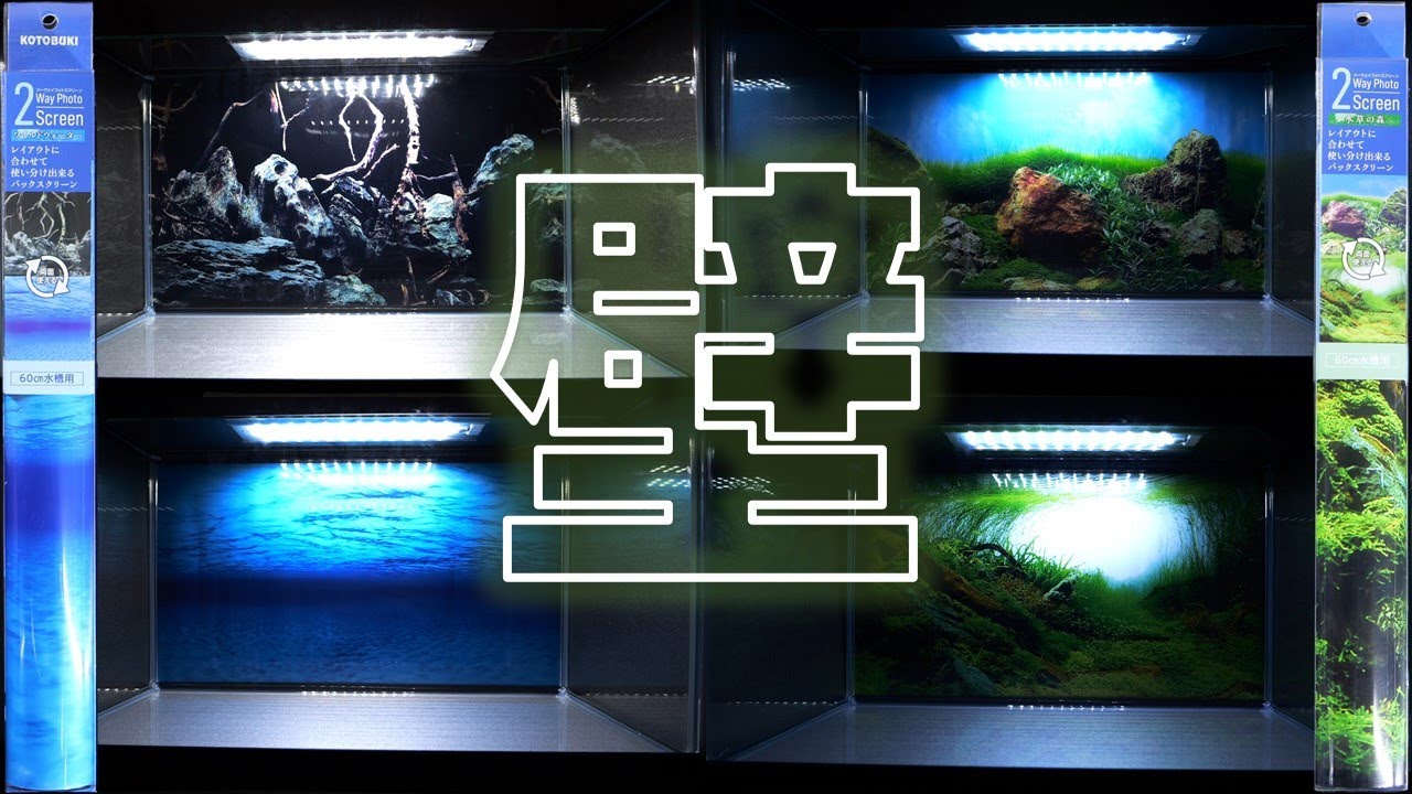バックスクリーン】貼るだけで水槽の雰囲気を変える新作。全部見比べて