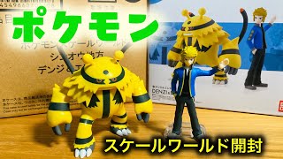 ポケモンスケールワールド シンオウ地方 デンジ＆エレキブル ポケモン