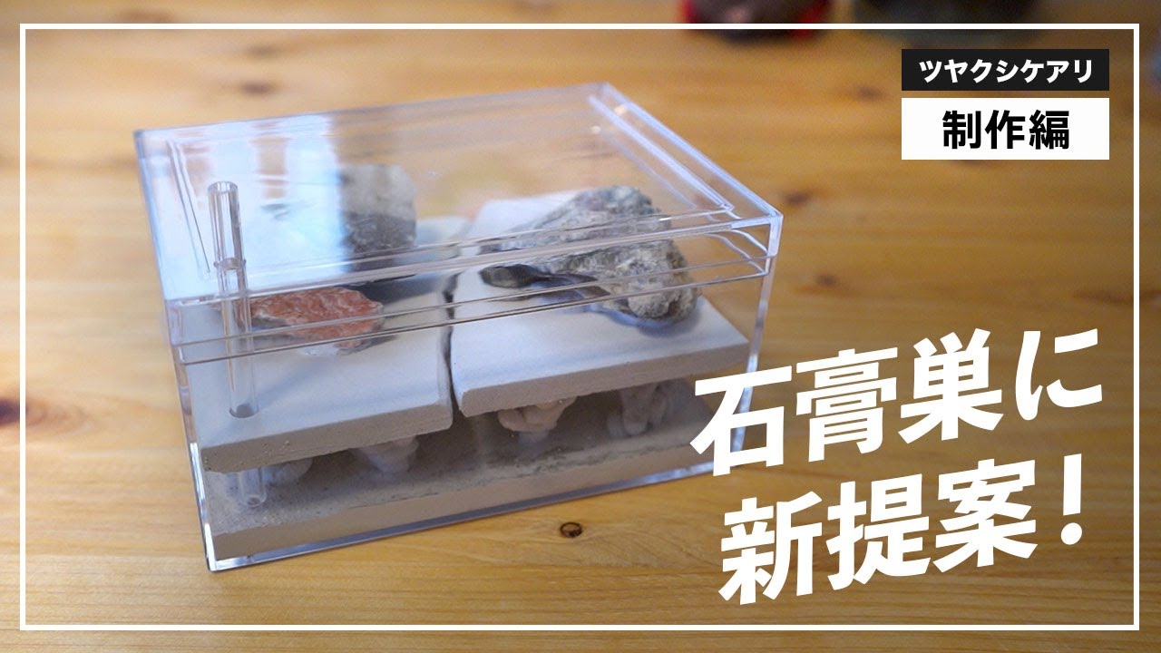 MICE】アリ石膏巣ユニット 30×20cm×2個セット MICE】アリ石膏巣