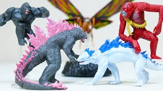 ゴジラ フィギュア 2体セット 61SedwNLvtL._AC_UF894,