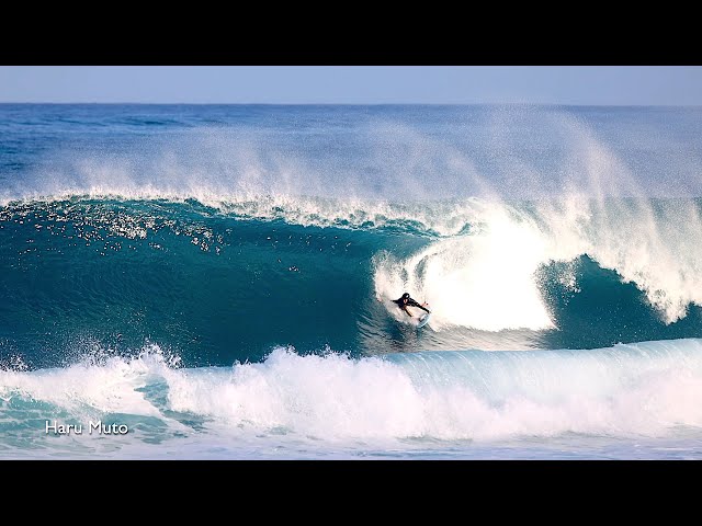 North Shore Daily Clip』2025.12.21 @ Log Cabin - YouTube