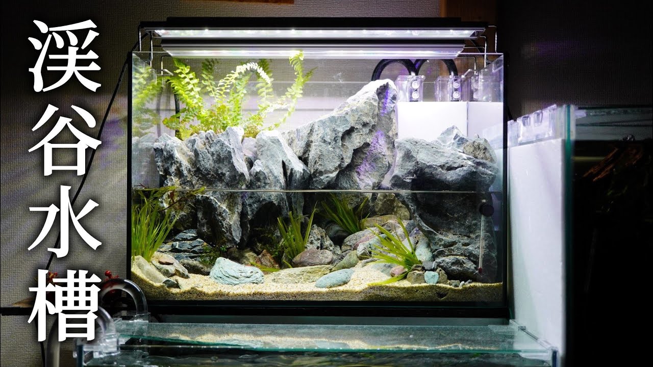 アクアテラリウム 流れる滝 ガジュマルのある渓谷 滝の流れる30cm