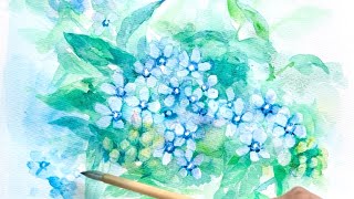 水彩画]オキシペタラムの花を描く/watercolorpainting/制作過程 - YouTube