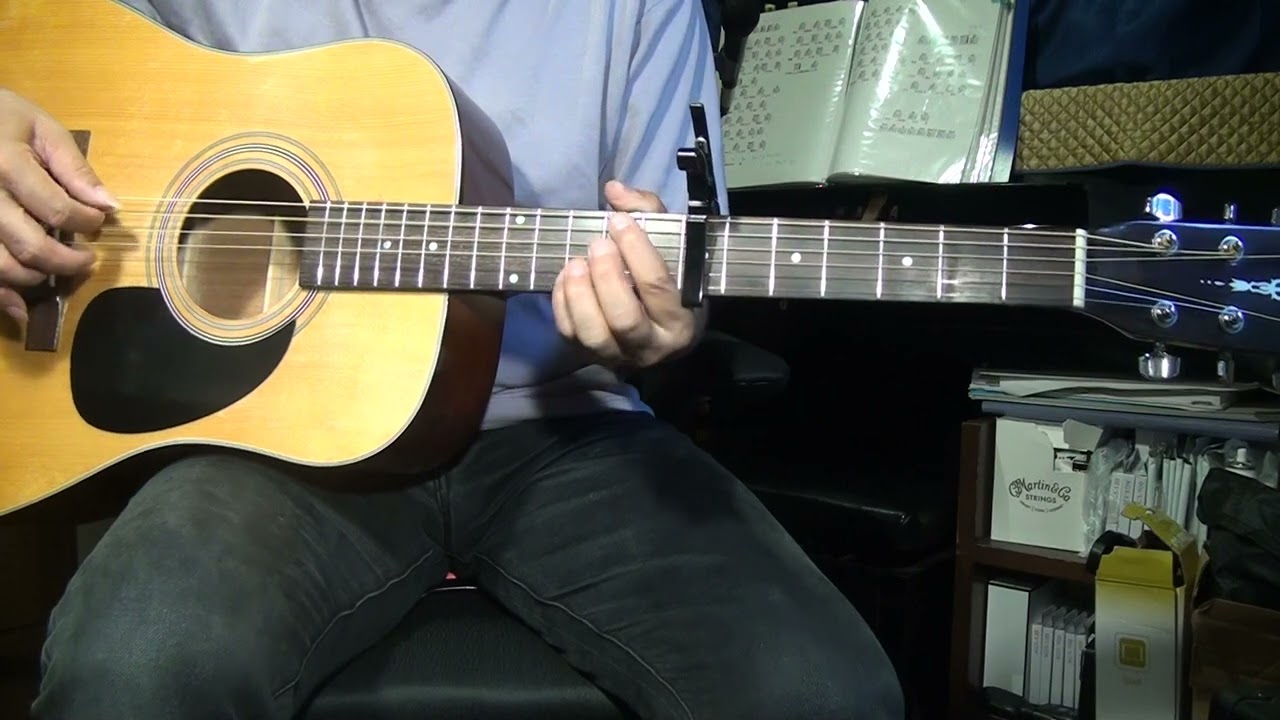 ARIA ADW-200 ジャパンヴィンテージ アコースティック ギター ARIA ADW