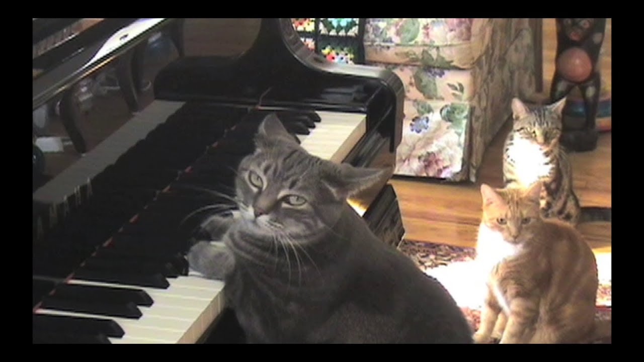 フランス製 トレー cat lady smoking playing piano Nora the Piano