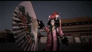 ALIPROMANIA5 アリプロマニア5 ALIPROMANIA5 アリプロマニア5 Amazon