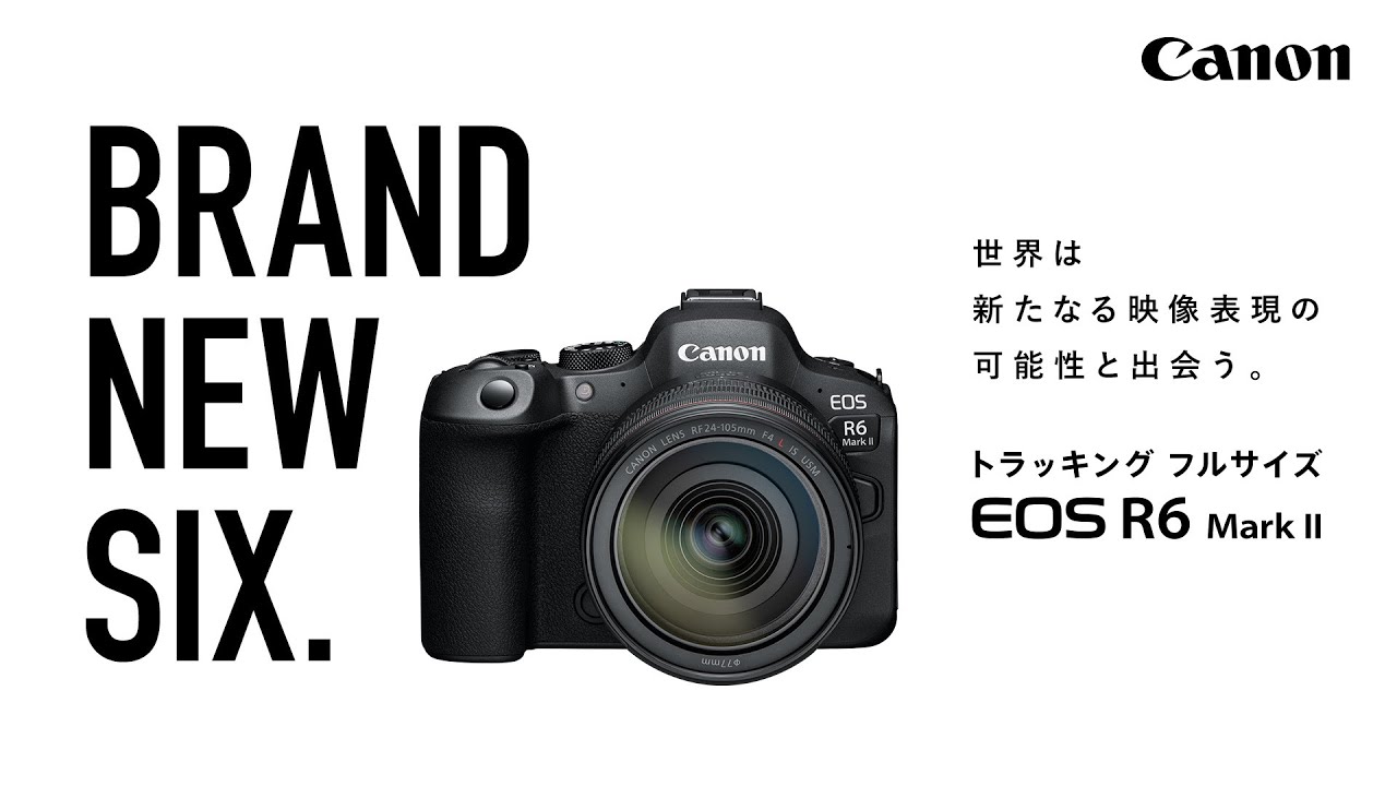 キヤノン ミラーレスカメラ EOS R6 Mark II 購入ページ｜キヤノン
