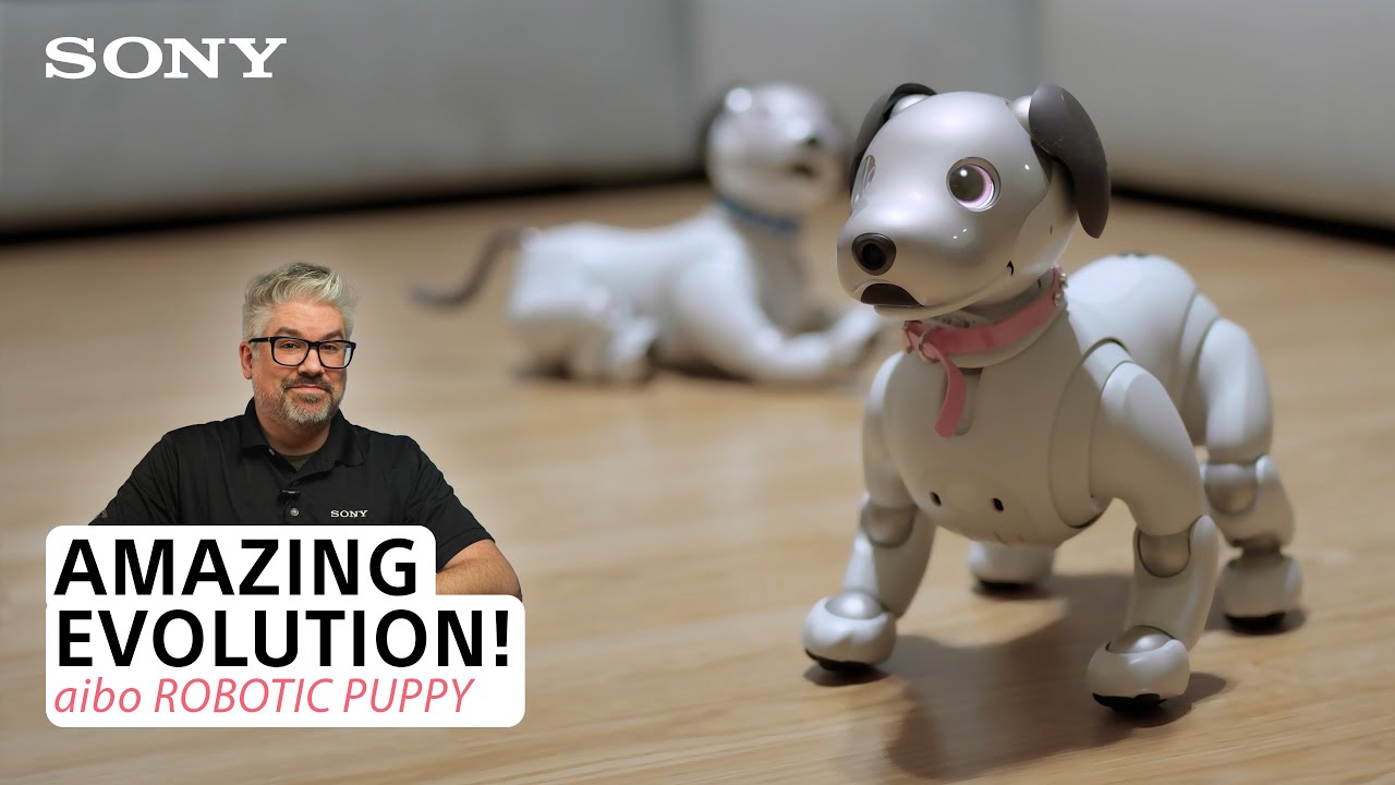 aibo's Amazing Evolution: How Updates Made Sony's Robot Dog