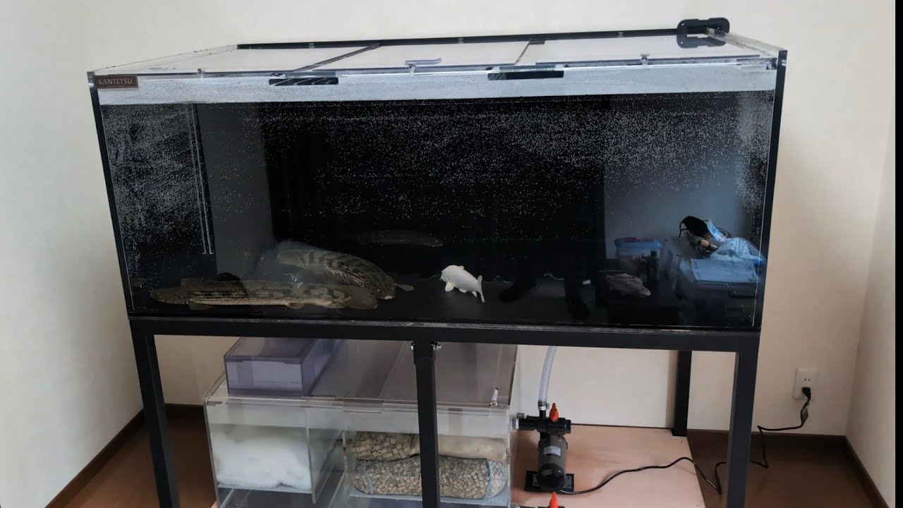カンテツアクリル水槽