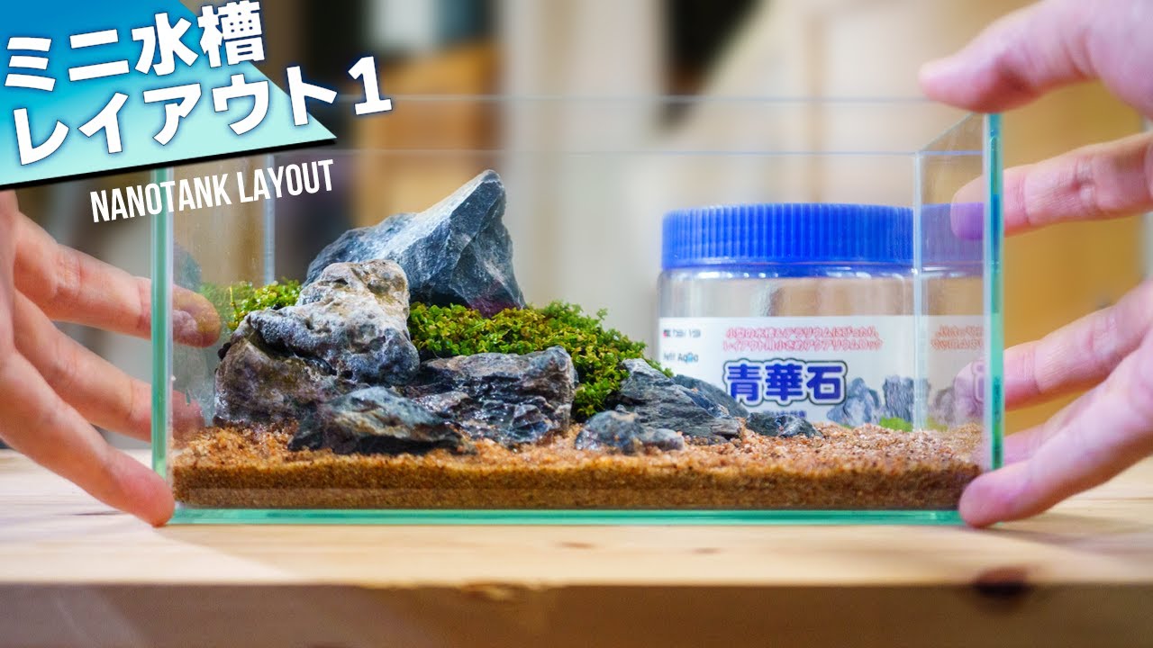 Mini aquarium layout challenge! Let's make a small aquarium that
