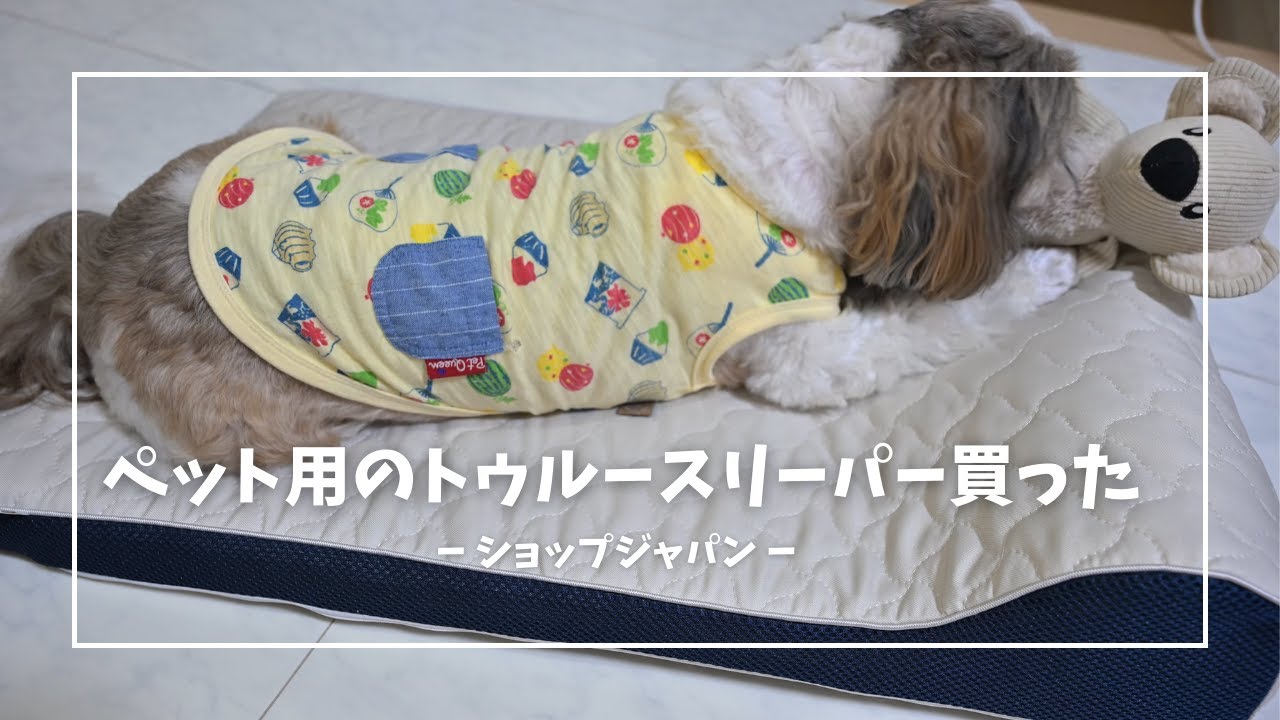 愛犬・愛猫にもワンランク上の睡眠を！ペットのトゥルースリーパー買っ