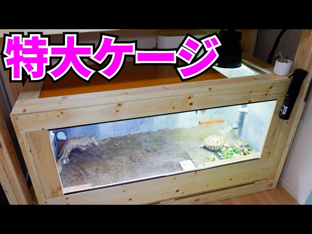 今期ラスト！自作爬虫類ケージ飼育セット 今期ラスト！自作爬虫類
