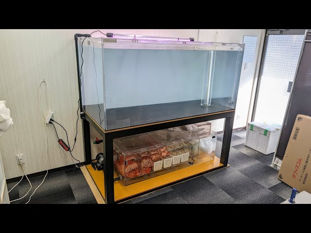 カンテツ水槽 ゆき Yahoo!オークション -「アクリル水槽 カンテツ