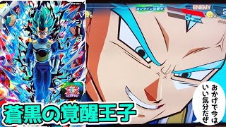 ◇サイヤ人の本質◇ ベジータ【SSGSS・暴走制御】SDBH BM8-SEC2