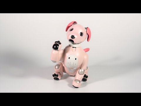 aibo いちごミルク エディション限定ふるまい「いちごミルク・シェイク