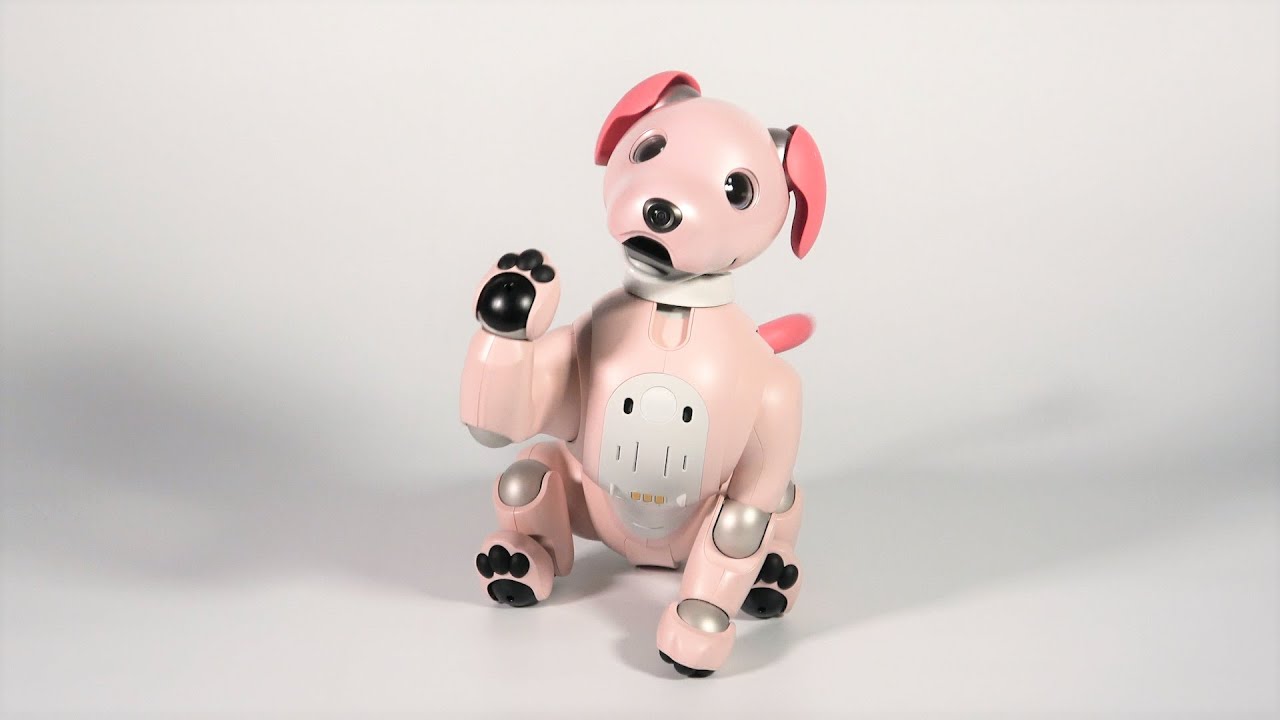 aibo 人気のいちごミルク aibo いちごミルク エディション | aibo