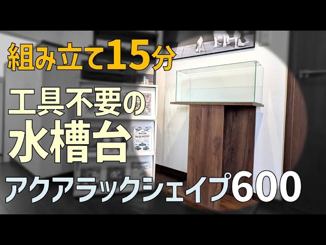 Unpacking & Assembly] GEX Aqua Rack Shape 600 | No tools required