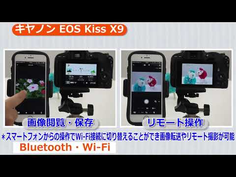 キヤノン EOS Kiss X9 ボディ ブラック | デジタル一眼レフ