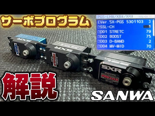 未使用 SANWA PGS-CX II プログラム可能 SSLサーボ SANWA PGS-CX