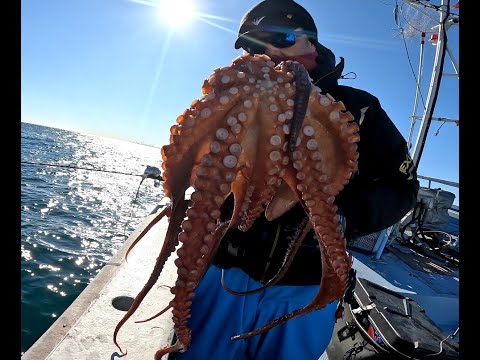 2024.12.24】鹿島沖で渡りの大ダコ狙い！ - YouTube