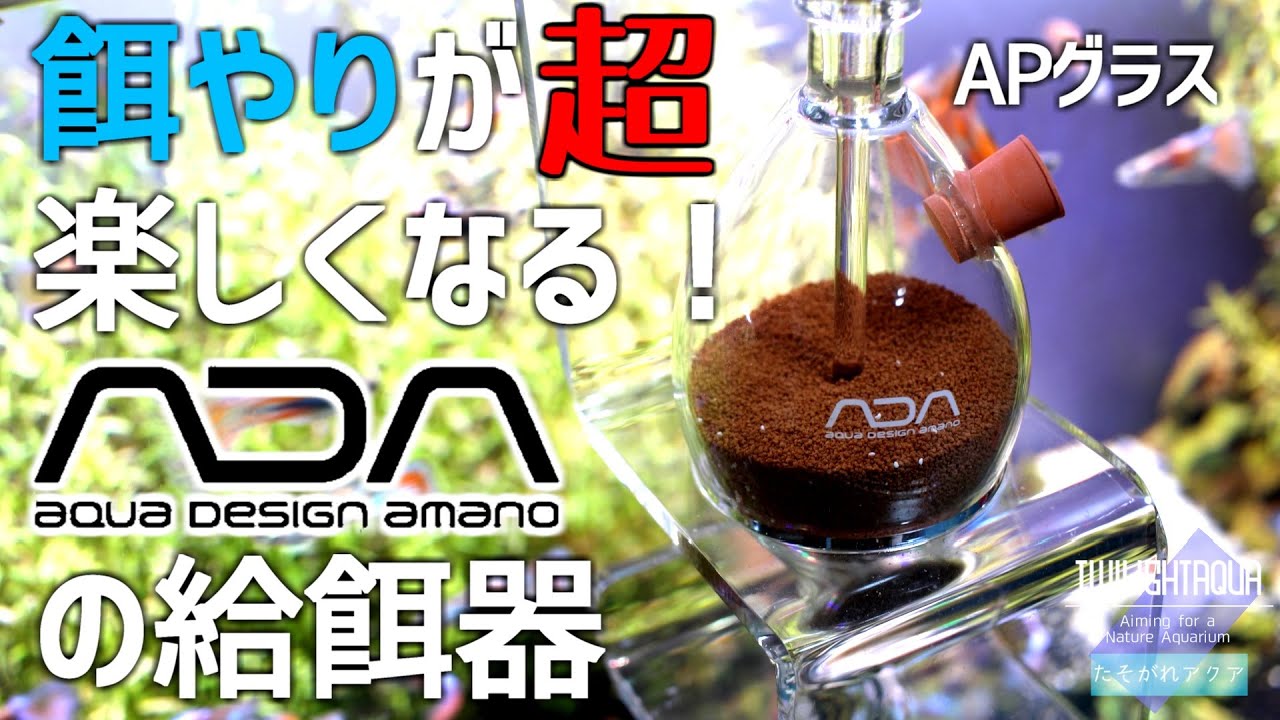 ADA's AP Glass makes feeding tropical fish super fun! ADA's AP