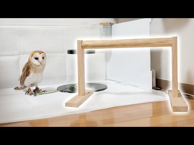 猛禽類パーチ 止まり木 人工芝付き｜猛禽類 鳥類 パーチ （止まり木）