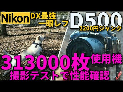 ☆ショット数: 15821回☆ Nikon ニコン D500 #994 hqdefault.jpg