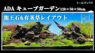 1200 Aquatic Plants Ryuo Stone Stem Plant Layout ADA [Aquarium