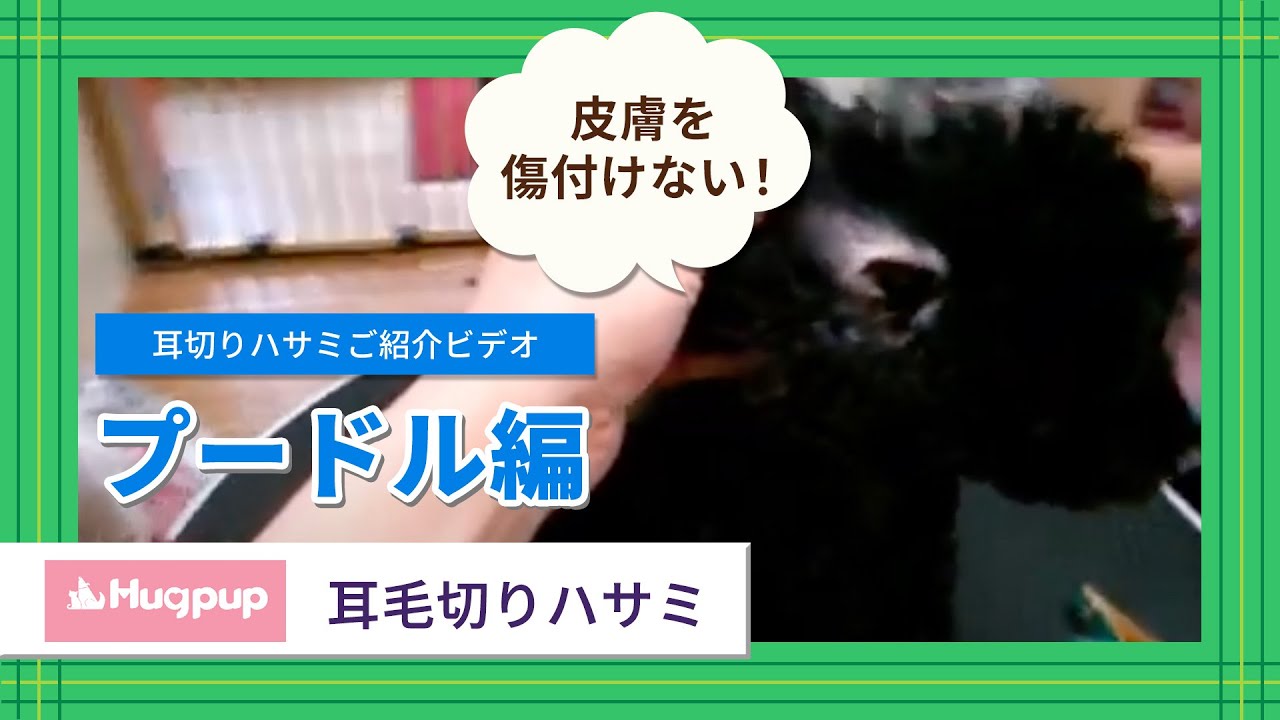 耳毛切りハサミ 【入荷未定】 - ワンクスオンラインショップ