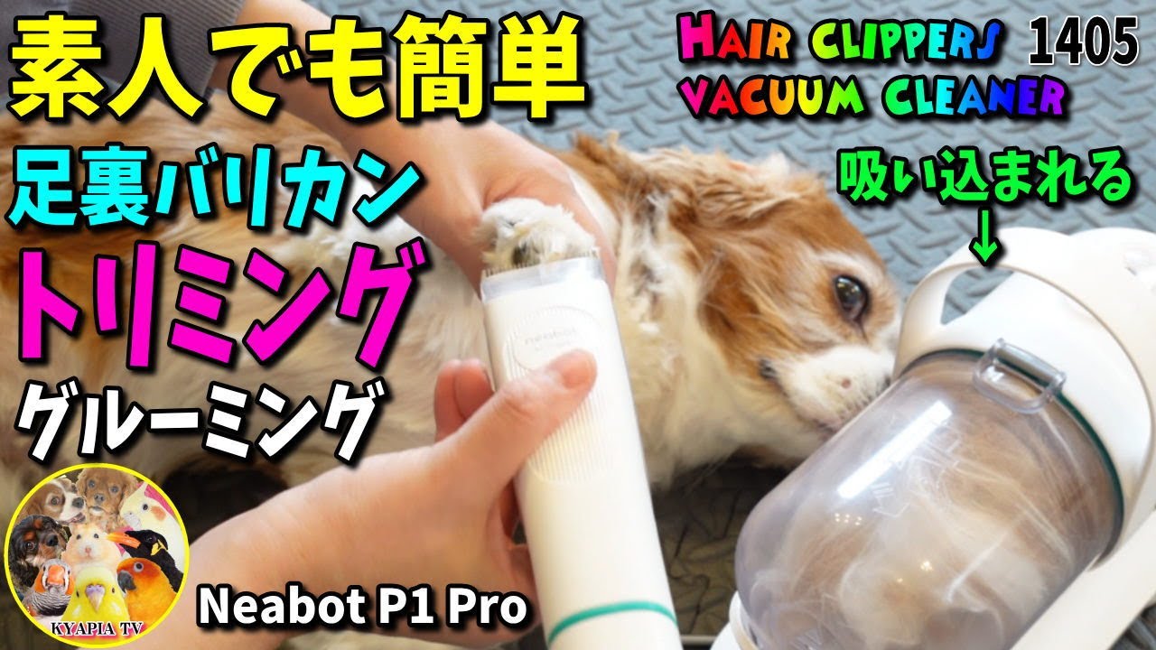 Neabot P1 Pro] Trimming pet dogs and cats, easy for amateurs