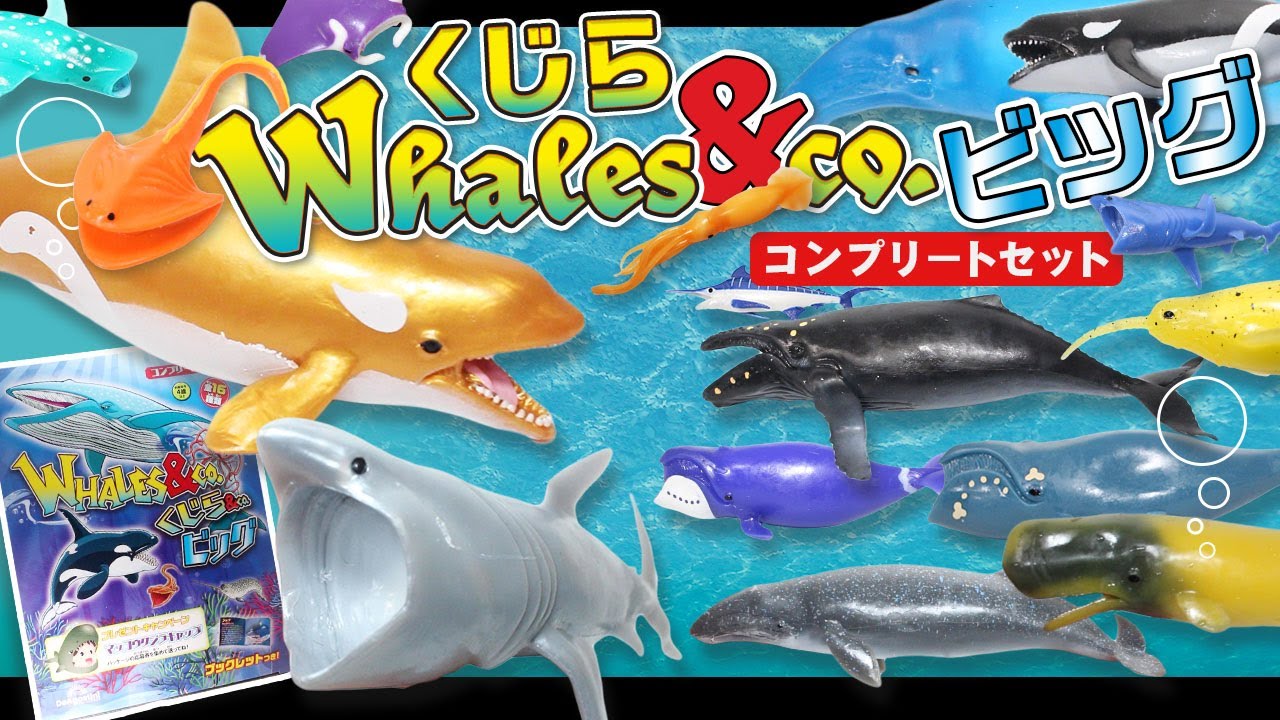 くじら&co.ビッグ トイザらスver！！ クロコダイル&co. アンドコ