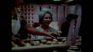 Reina様】NR-B17HWW☆IR818☆NA-F60PB14☆IS965 詳細情報 全自動洗濯機