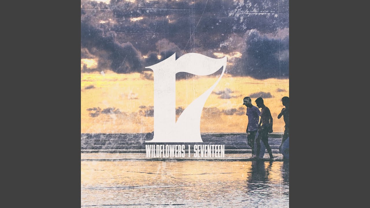 YA−MAN EP-17SB YA−MAN EP-17SB YA−MAN EP-17SB YA−MAN EP-17SB YA