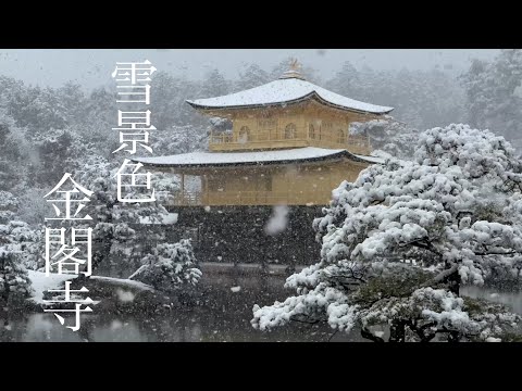 2025年2月24日 外国人観光客は絶賛❗️雪景色の京都金閣寺を歩く