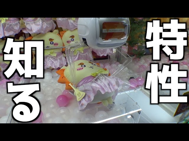 この店なら100円でちいかわのぬいぐるみが取れますw【クレーンゲーム