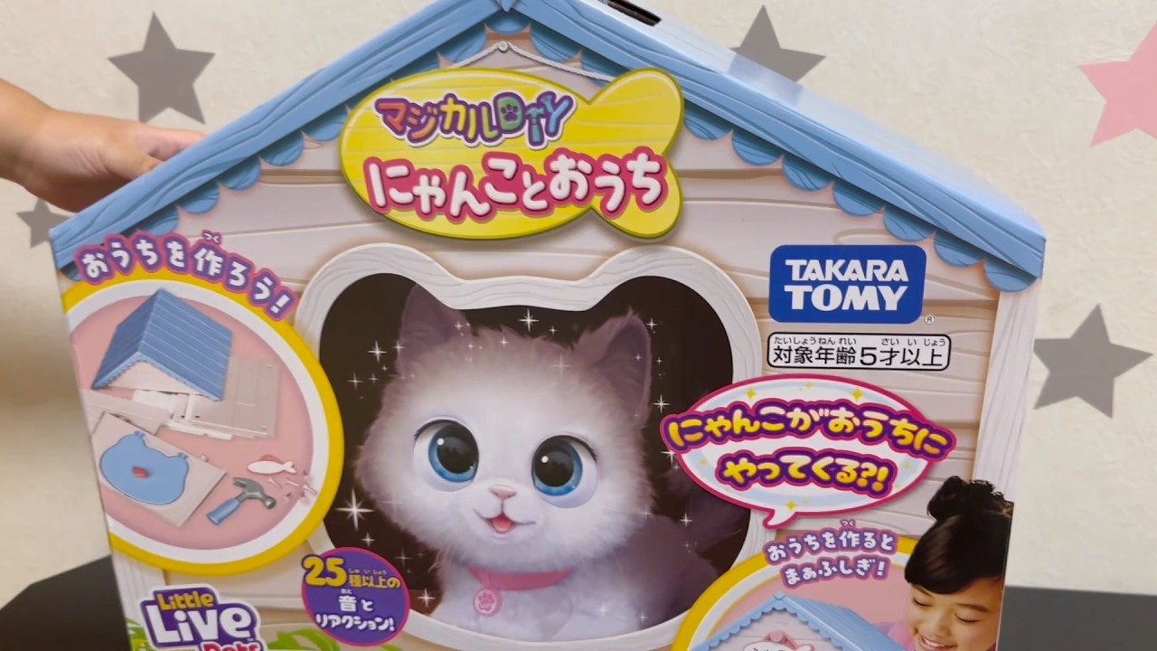 Cat and House Maa-chan's Toy - YouTube
