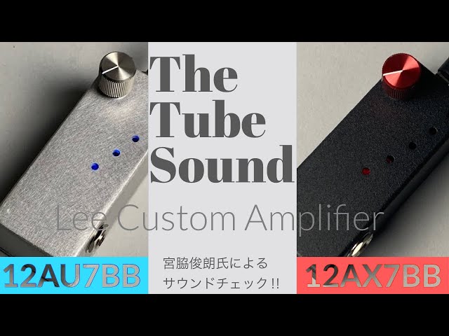 m*r様 Lee Custom Amplifier 真空管バッファー LED切れ m*r様 Lee