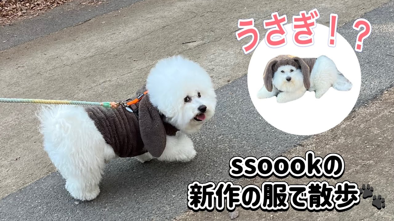 SSOOOK ボア·ラビット·ベスト ブラウン MLサイズ SSOOOK ボア·ラビット