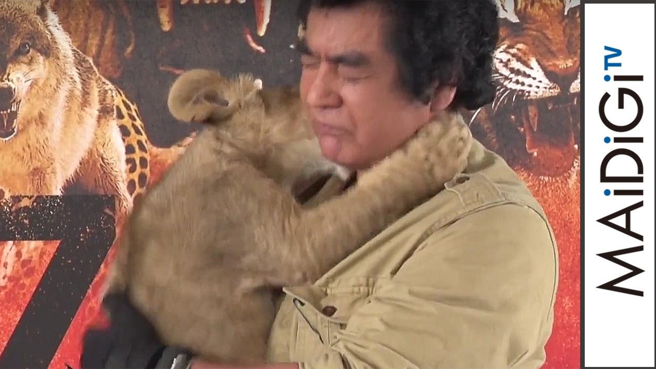 Hiroshi Fujioka: Confrontation with the child lion and get bitten